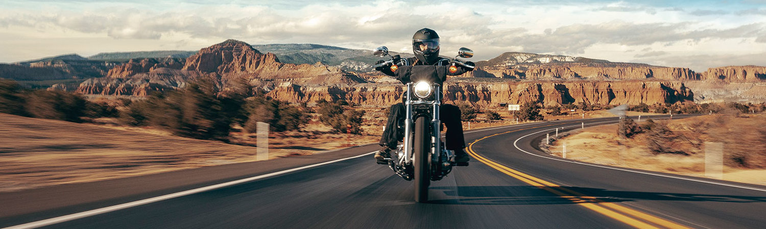 2024 Harley-Davidson® Softail Standard for sale in Raging Bull H-D®, Durham, North Carolina